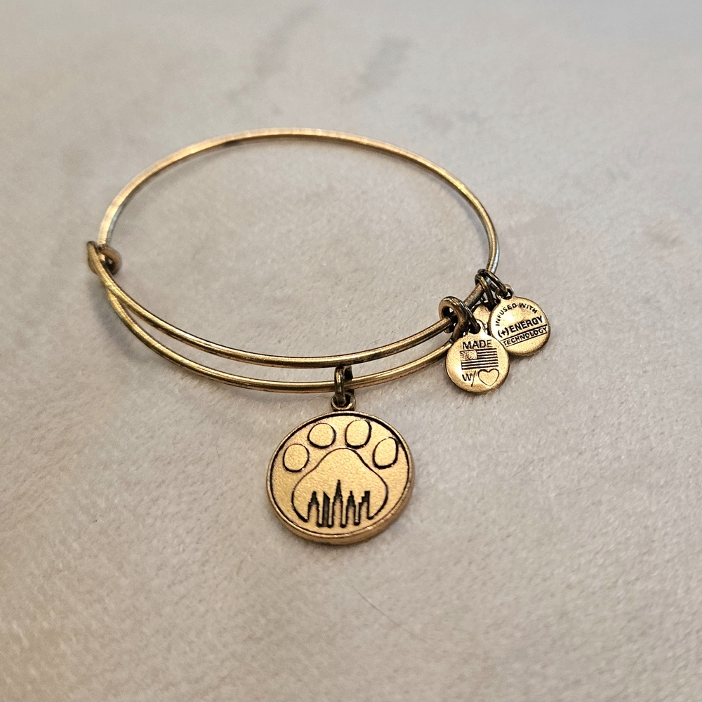 Alex and Ani Gold Charm Bracelet